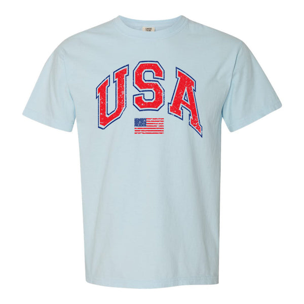 'Distressed USA' T-Shirt