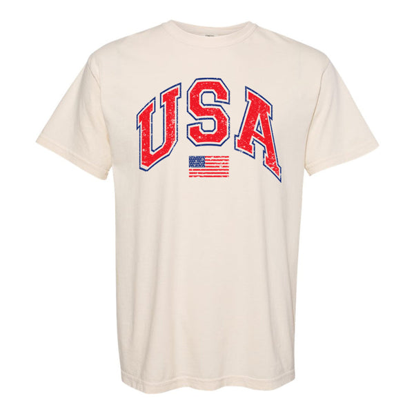 'Distressed USA' T-Shirt