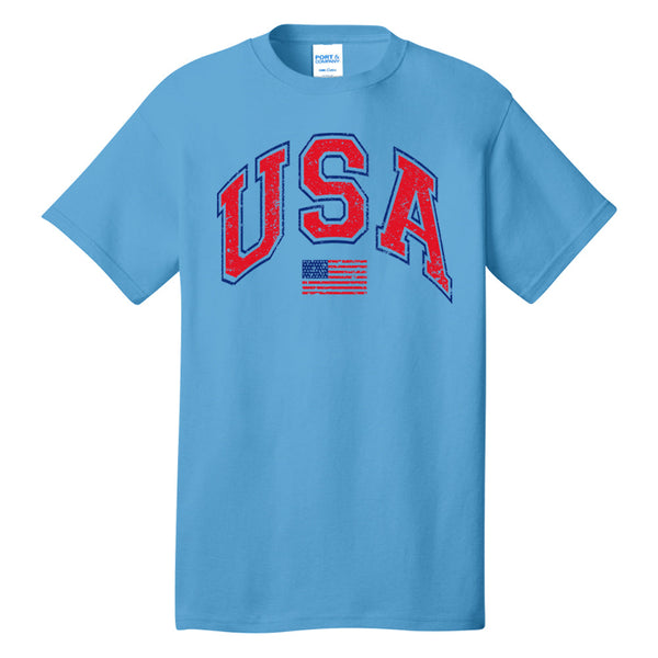 'Distressed USA' T-Shirt